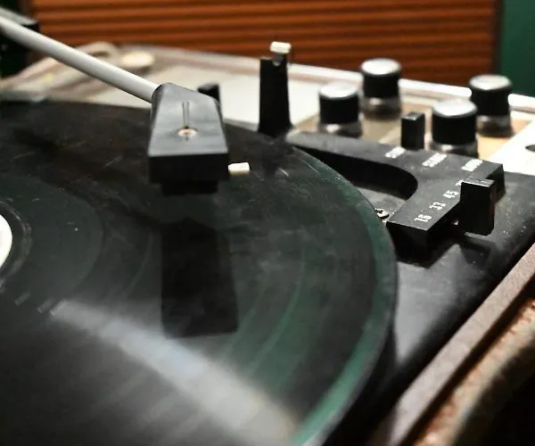 Le Secret D’adam *